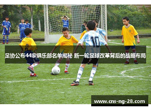 足协公布44家俱乐部名单揭秘 新一轮足球改革背后的战略布局 足协公布44家俱乐部名单揭秘 新一轮足球改革背后的战略布局