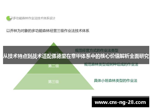 从技术特点到战术适配佩德里在意甲体系中的核心价值解析全面研究